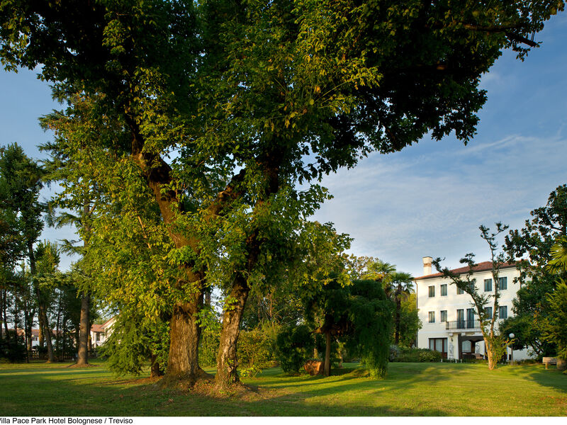 Villa Pace Park Hotel Bolognese