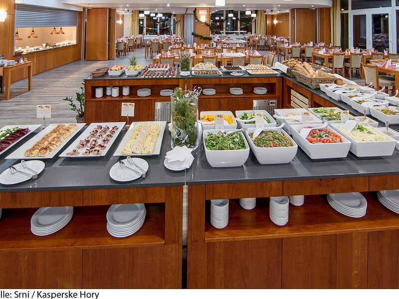 Hotel Srni