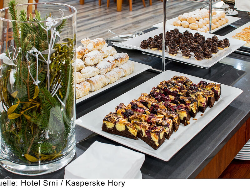 Hotel Srni