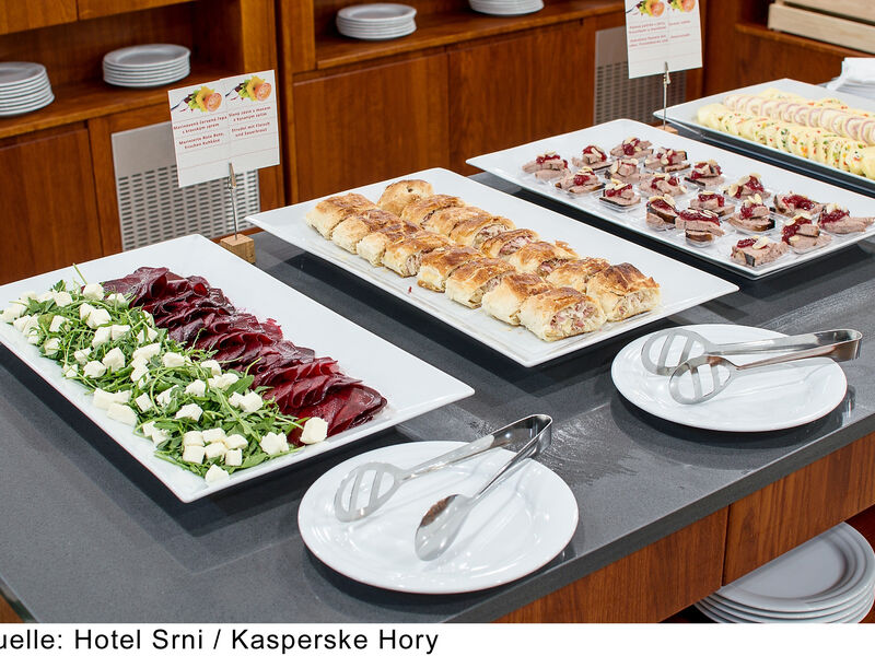 Hotel Srni