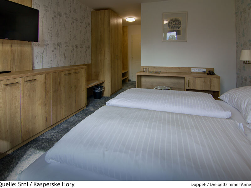 Hotel Srni