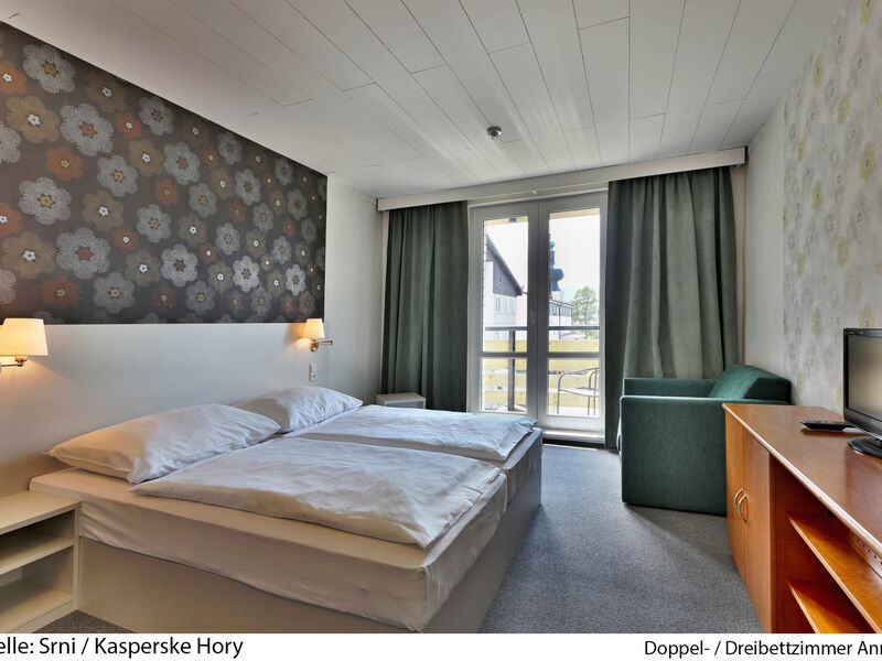 Hotel Srni