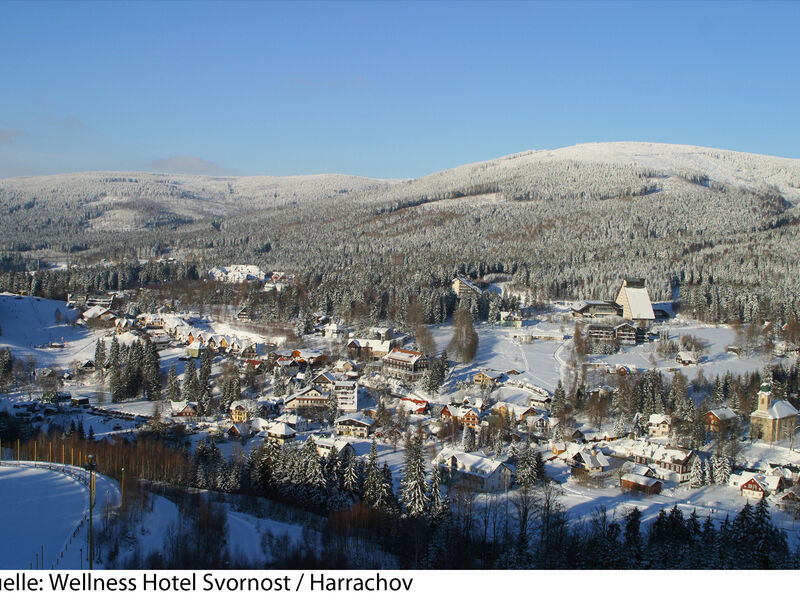 Wellness Hotel Svornost
