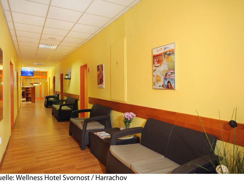 Wellness Hotel Svornost