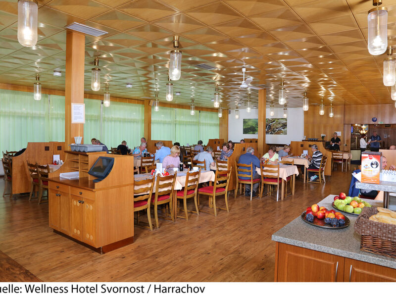 Wellness Hotel Svornost