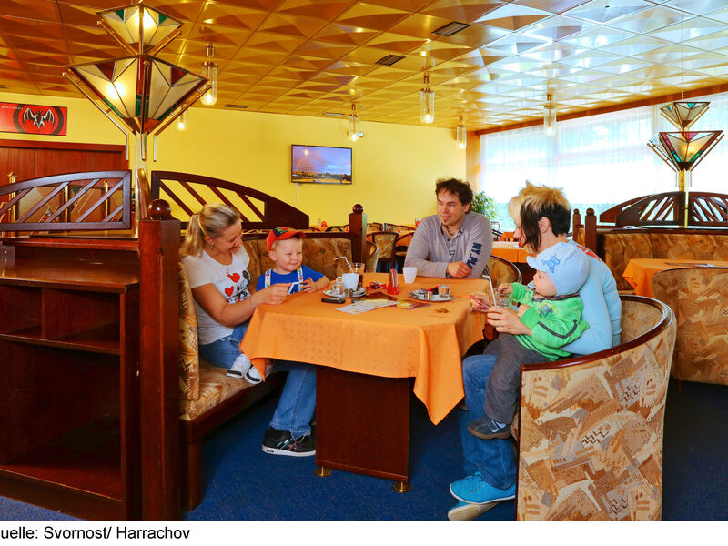 Wellness Hotel Svornost