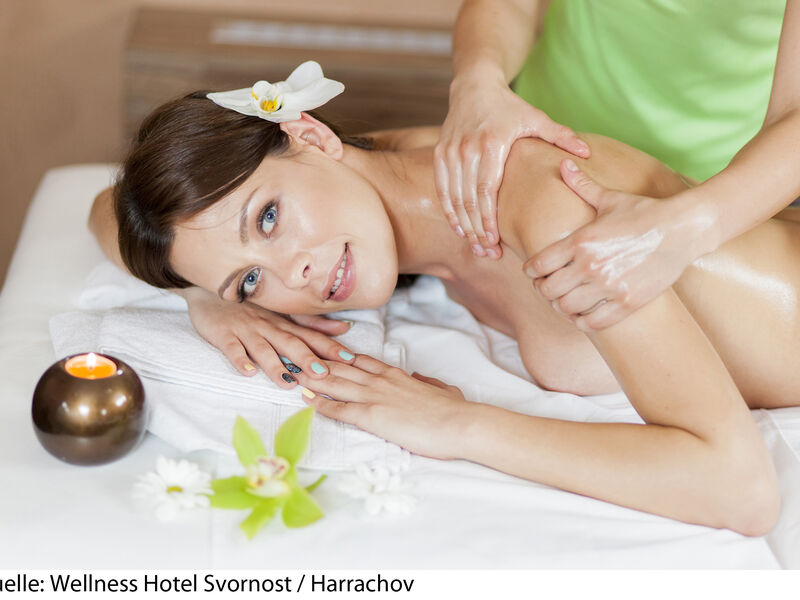 Wellness Hotel Svornost