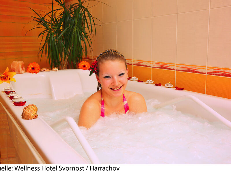 Wellness Hotel Svornost