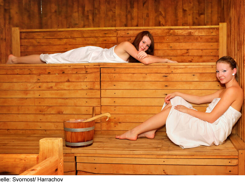 Wellness Hotel Svornost
