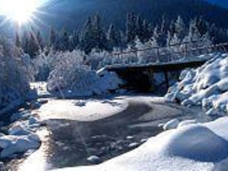 Hotel Alpenhof - Liftpass inklusive