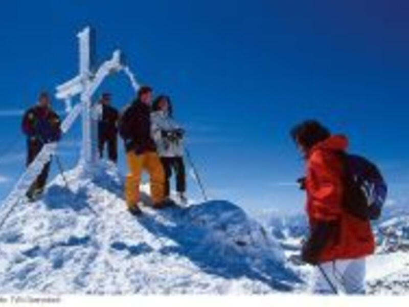 Hotel Alpenhof - Liftpass inklusive