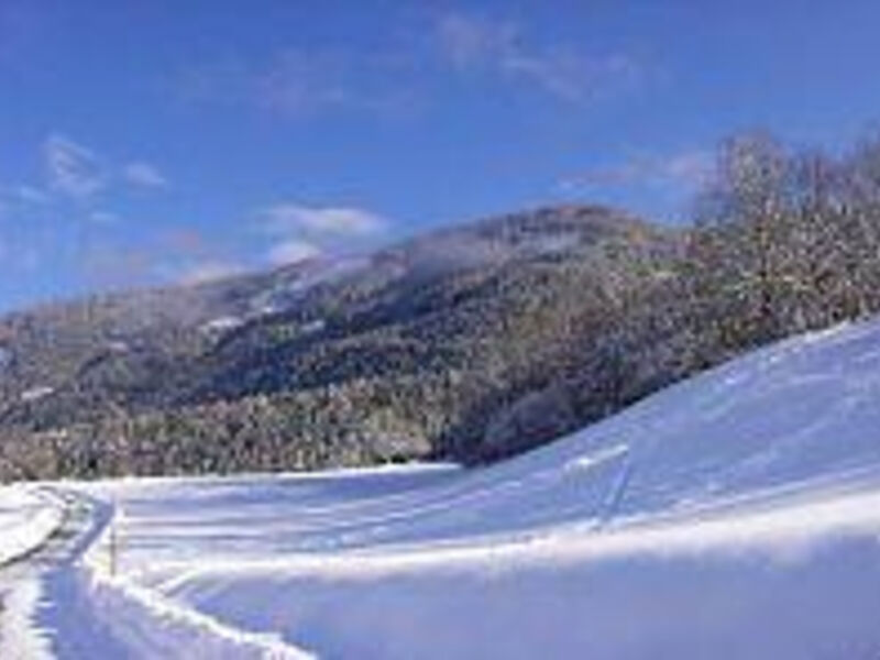 Hotel Lindenhof - Liftpass inklusive