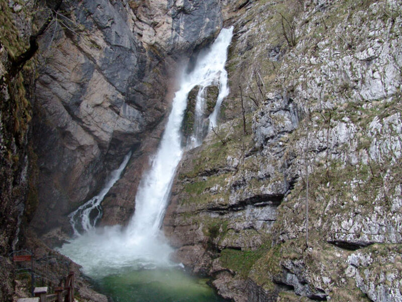 Jezero Bohinj