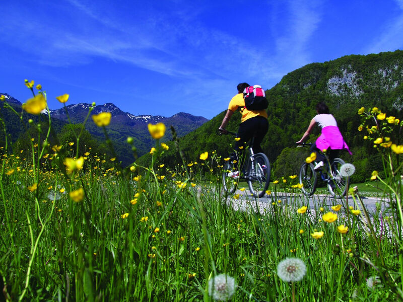 Bohinj Eco