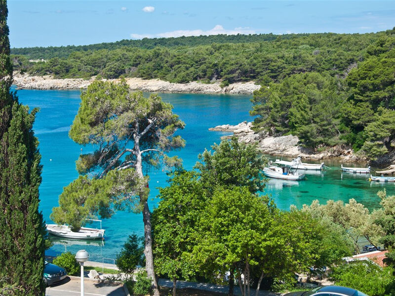Suha Punta