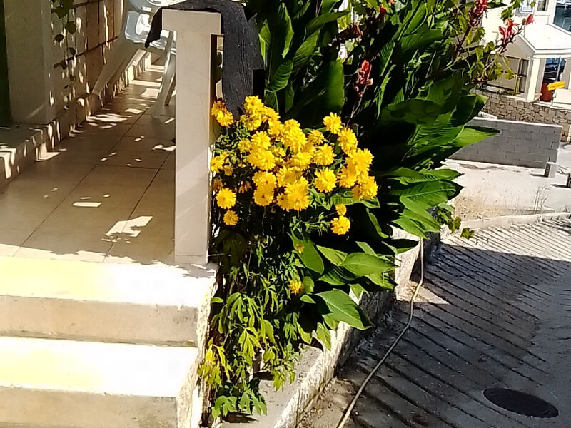 Apartmán Dita