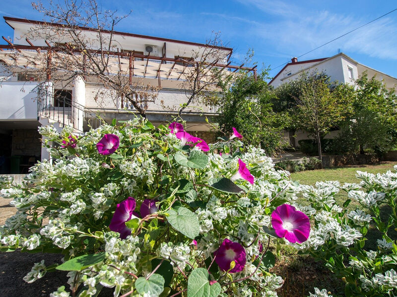 Apartmány 1355-1