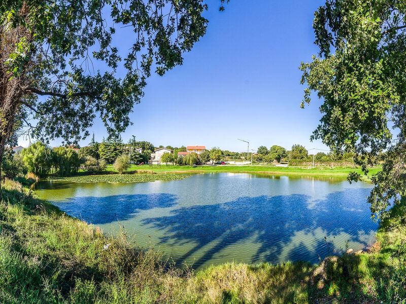 Apartmány 1355-1