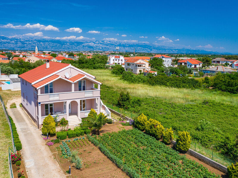 Apartmány 1355-1