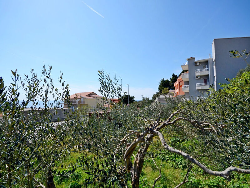 Apartmány 1355-3440