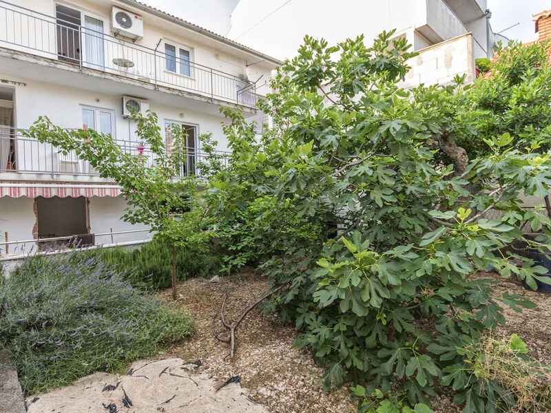 Apartmány 1355-3558