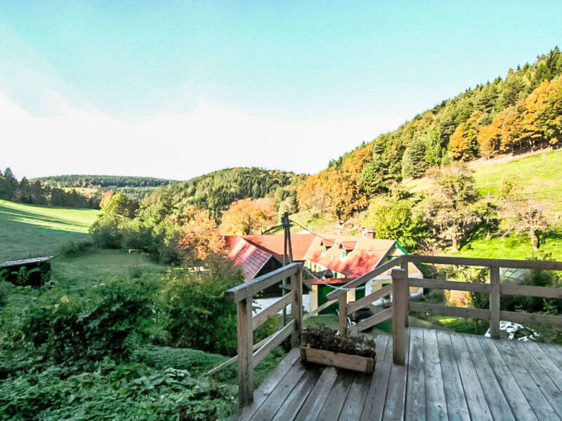Feichtinger