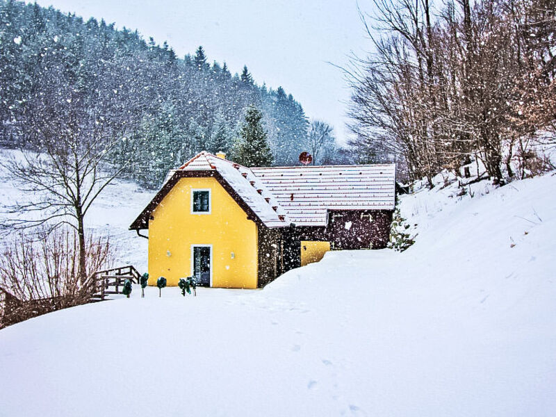 Feichtinger