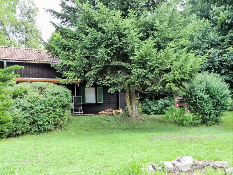 Menardi