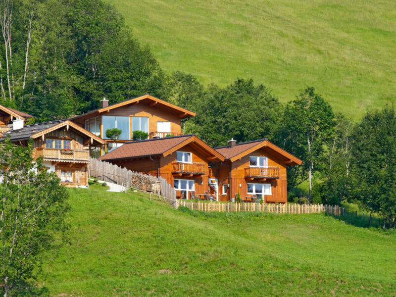 Chalet Nikola