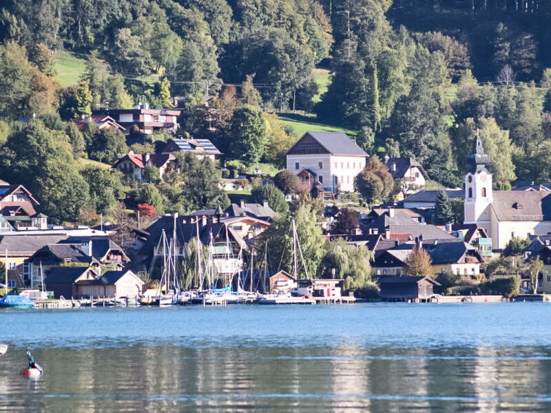 Sterngut