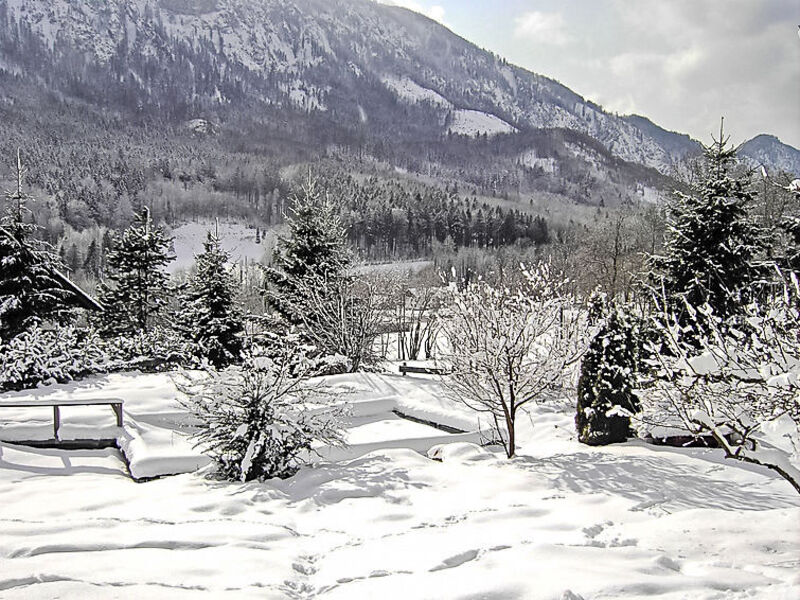 Sterngut