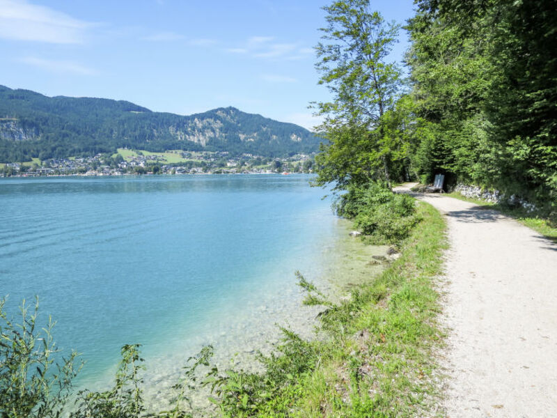 Wolfgangsee Blick