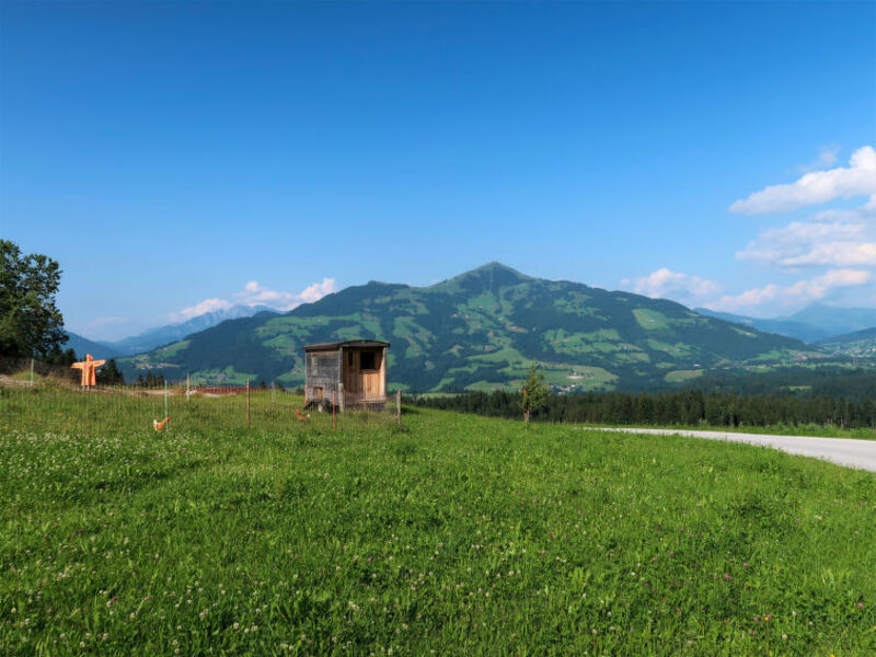 Entalhof