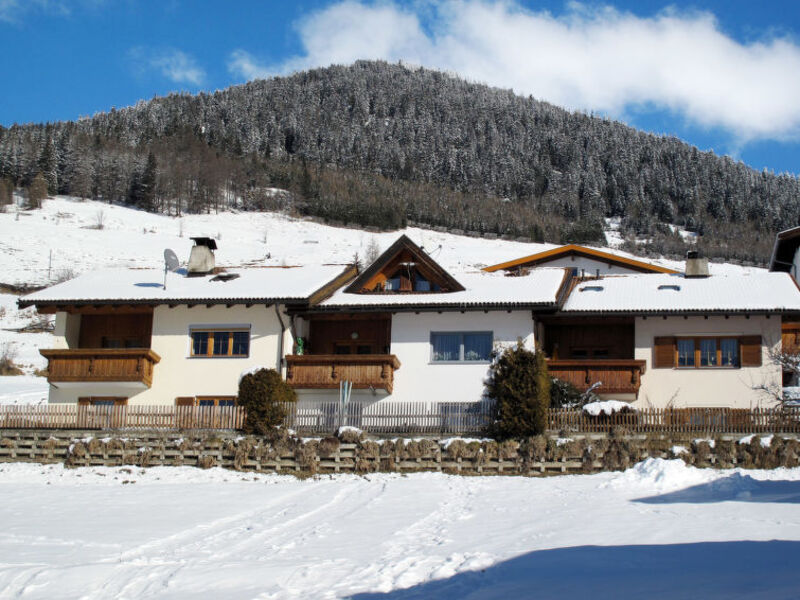 Steinwender