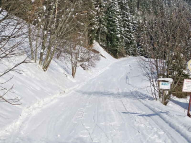 Jausenstation Almluft