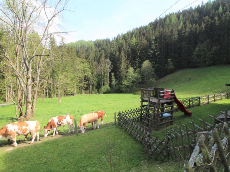 Krechen Alm