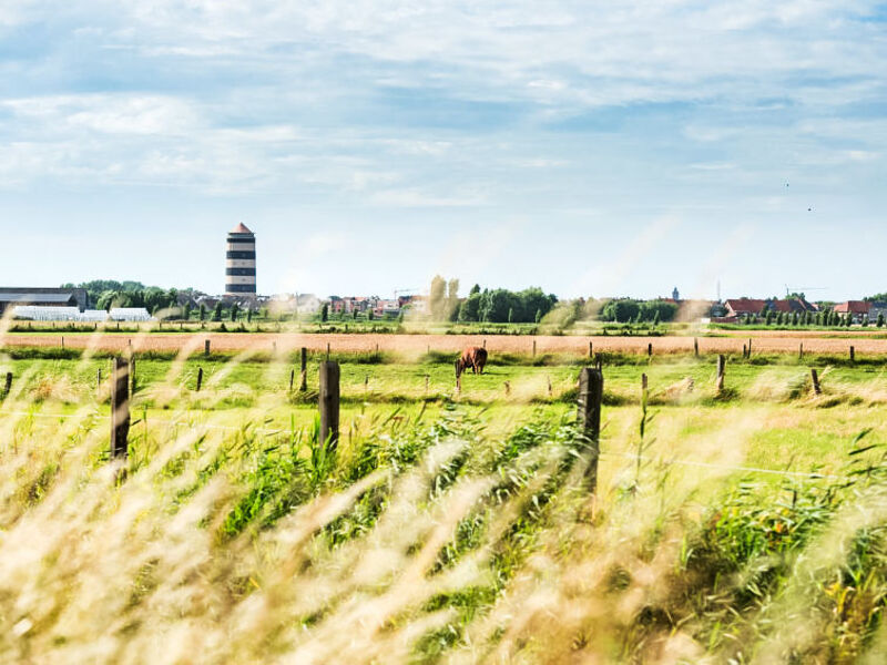 Zen Aan Zee
