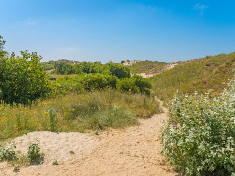 Park Kerlinga