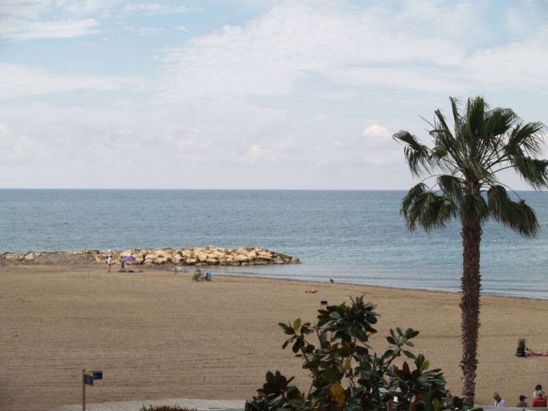 Horta Del Mar