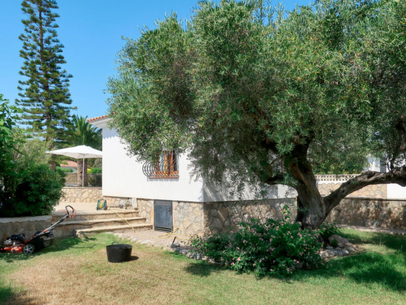 Villa Rose
