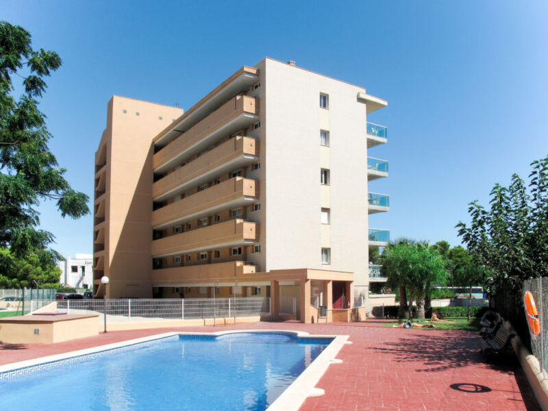 Gavina Dor