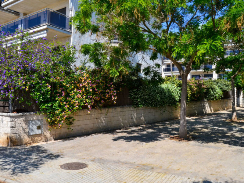 Vila Del Far