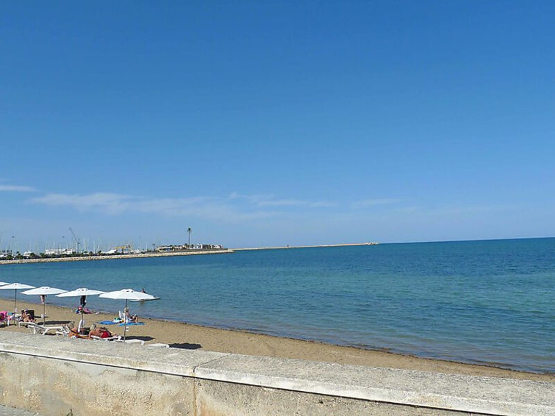 Oasis Beach