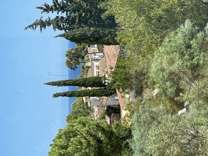 Vista Paraiso