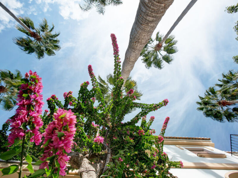 El Patio