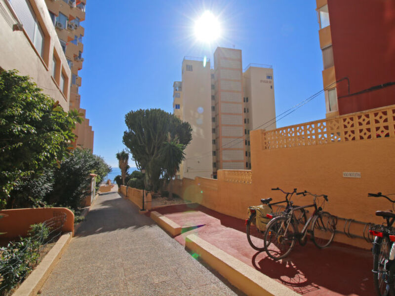 Horizonte