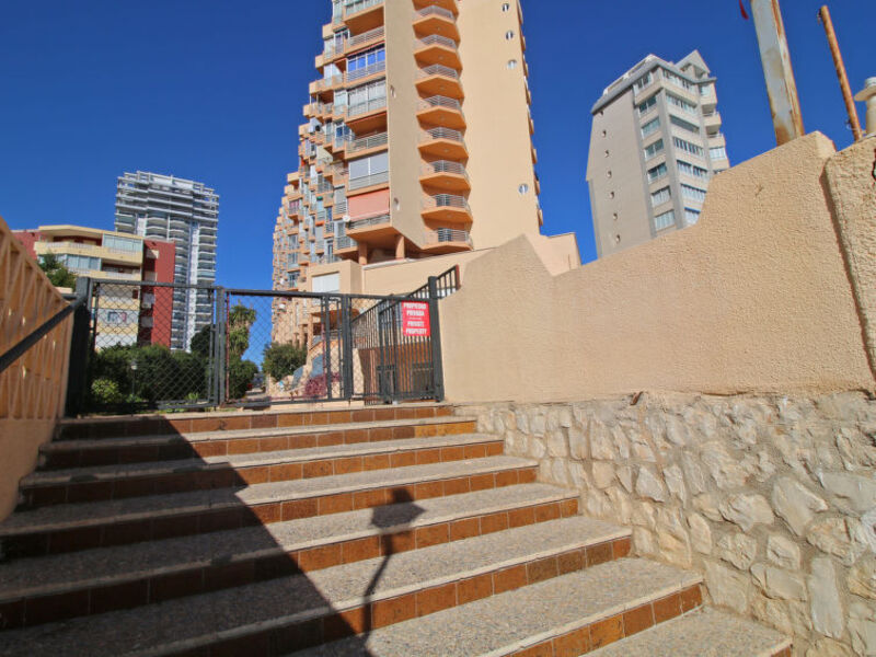 Horizonte