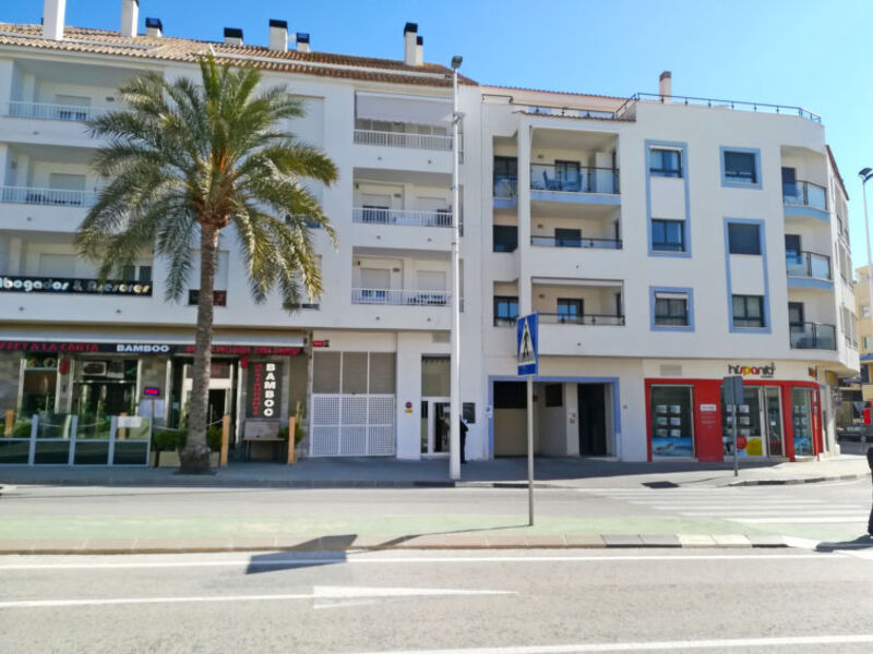 Olivo