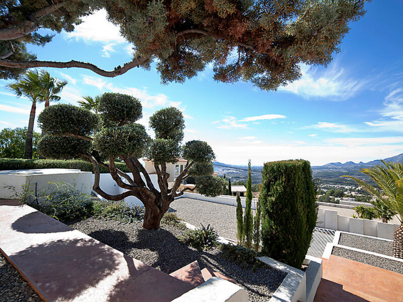 Palm Spring