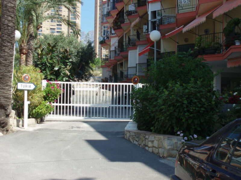 Turia